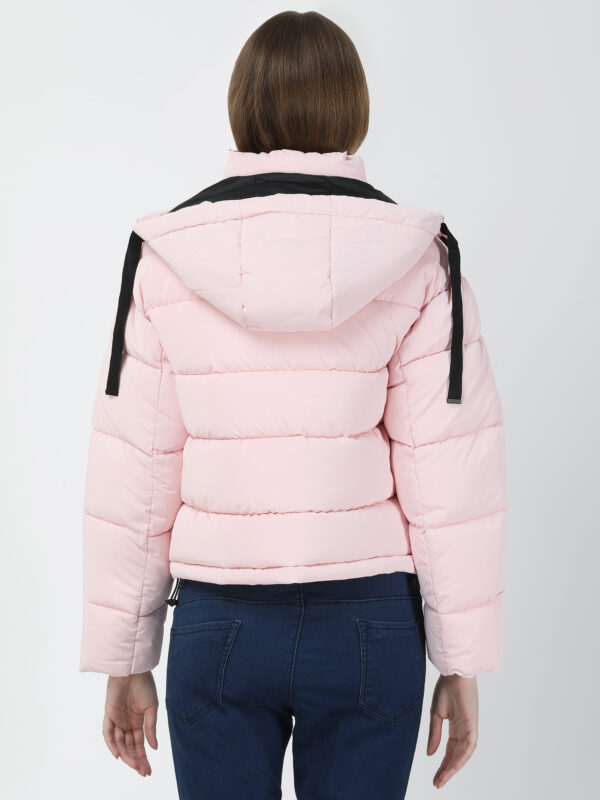 Queen - Image 6